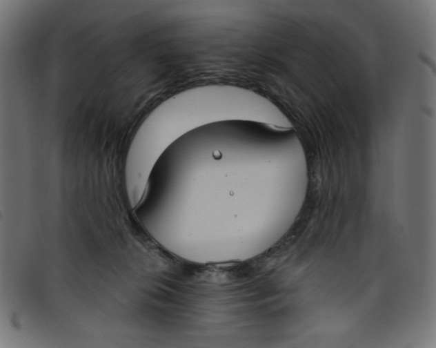 X0000098110276200804251435