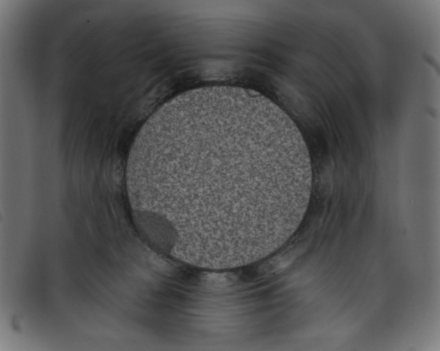 X0000098110277200804251435