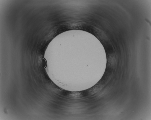 X0000098110278200804251435