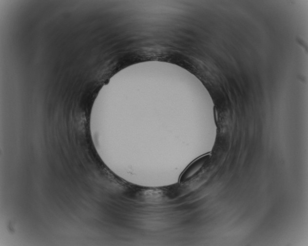 X0000098110279200804251435