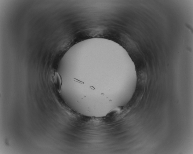 X0000098110280200804251435