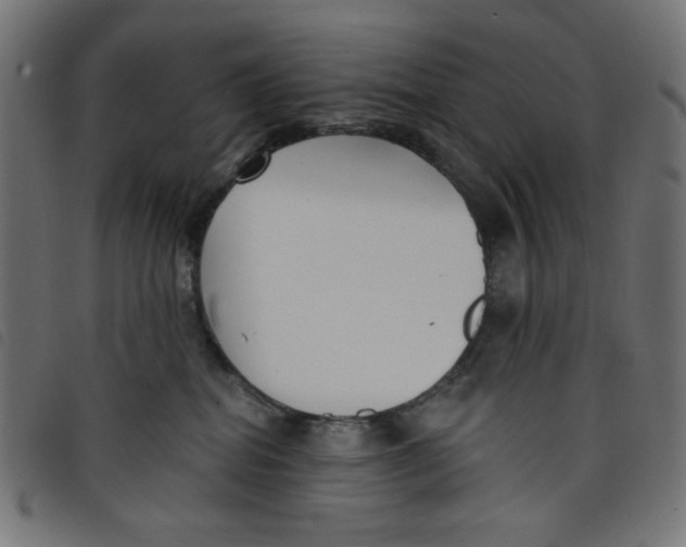 X0000098110282200804251435