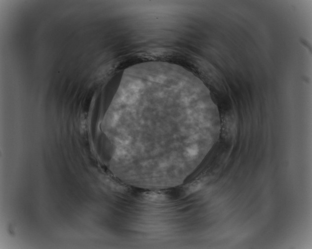 X0000098110284200804251435