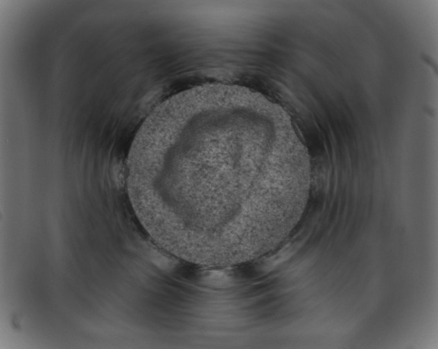 X0000098110285200804251435