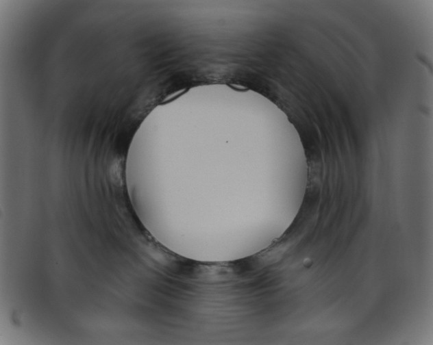 X0000098110286200804251435