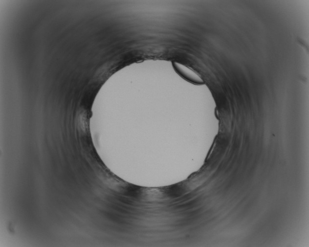 X0000098110287200804251435