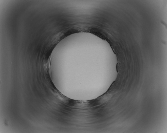 X0000098110288200804251435