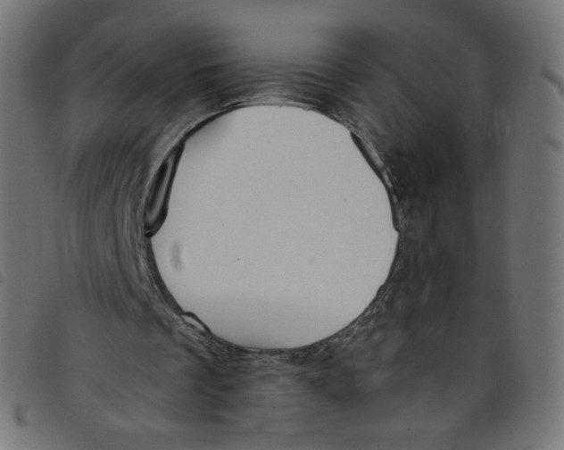 X0000098110289200804251434