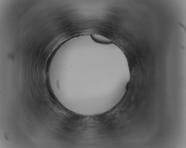 X0000098110290200804251434