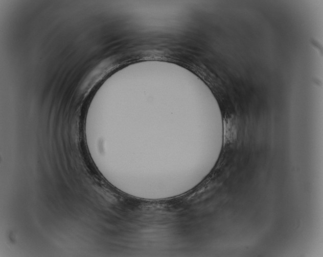 X0000098110291200804251434