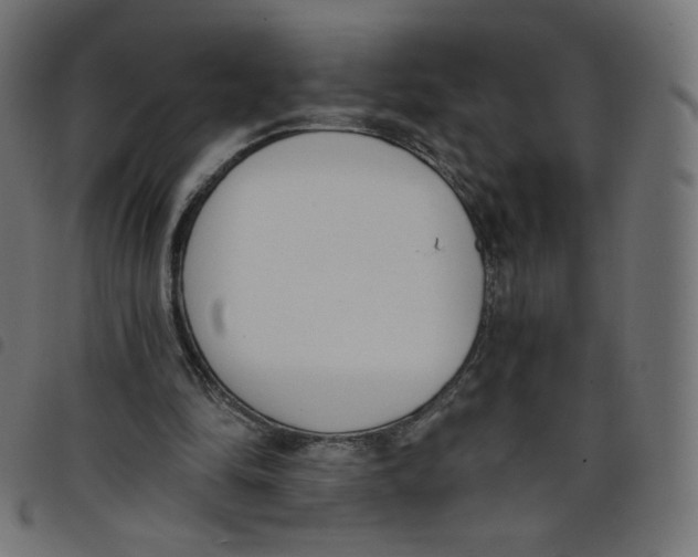 X0000098110294200804251434