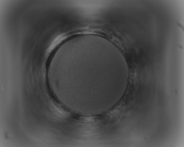 X0000098110295200804251434