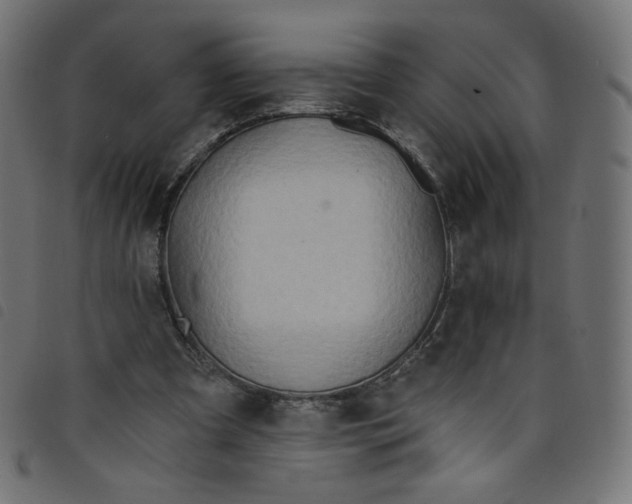 X0000098110297200804251434