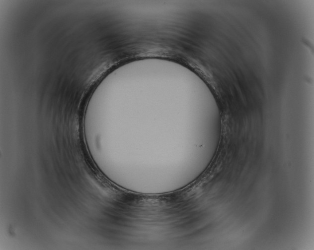 X0000098110298200804251434