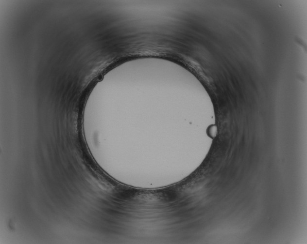 X0000098110299200804251434