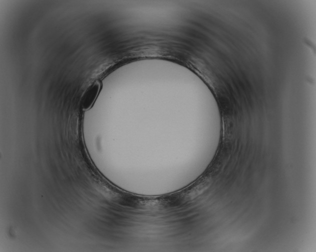 X0000098110301200804251434