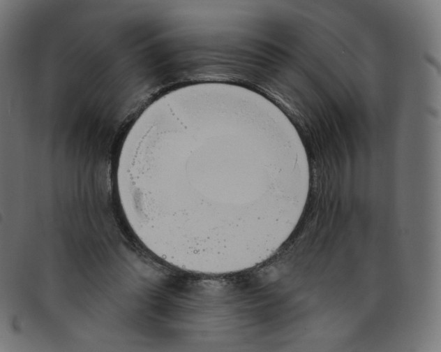 X0000098110302200804251434