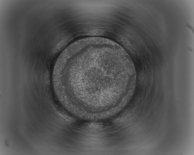 X0000098110303200804251434