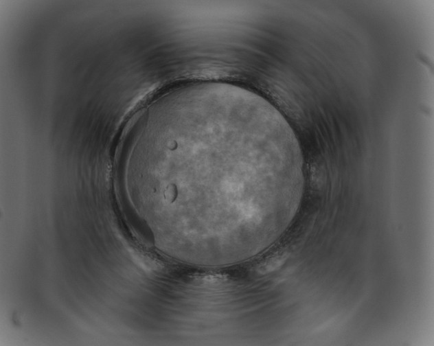 X0000098110304200804251434