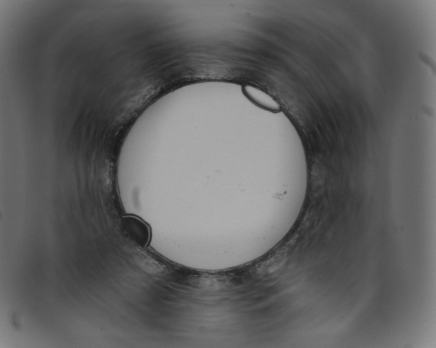 X0000098110305200804251434