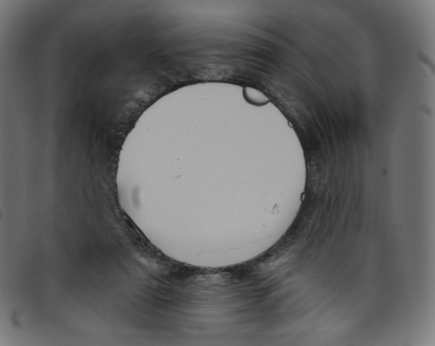 X0000098110307200804251434