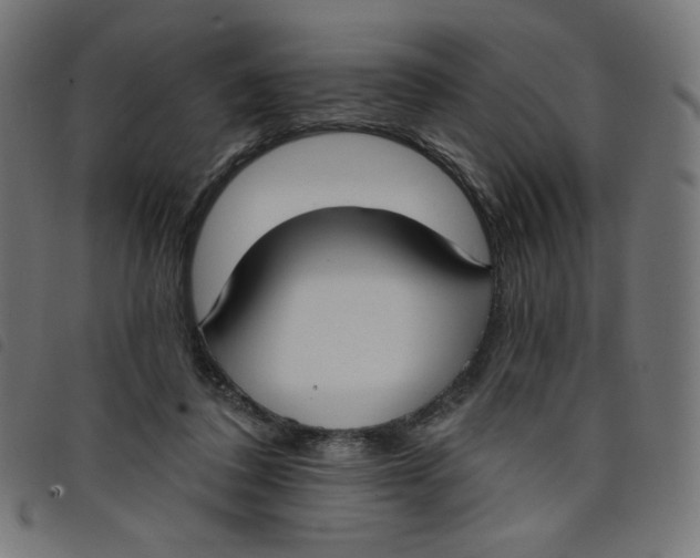 X0000098110308200804251434