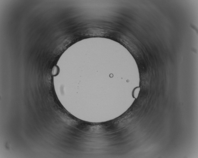 X0000098110309200804251434