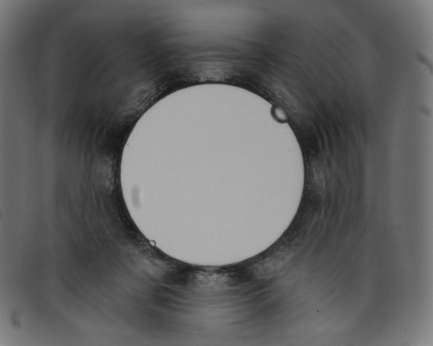 X0000098110311200804251434