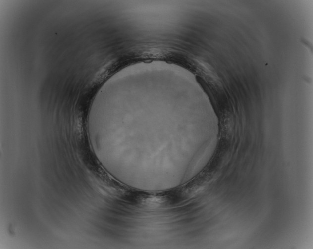 X0000098110312200804251434