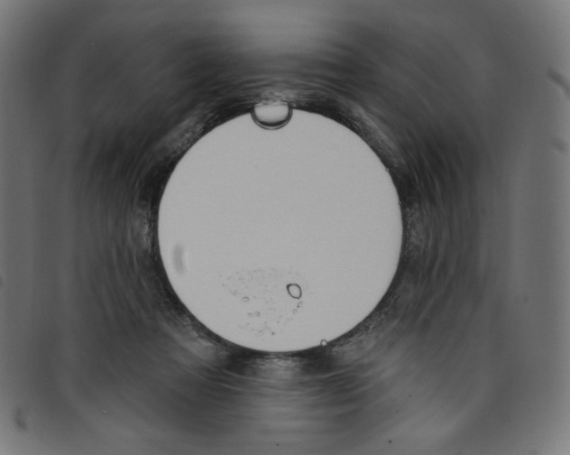 X0000098110313200804251434