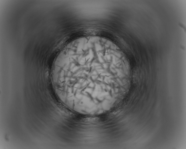 X0000098110314200804251434