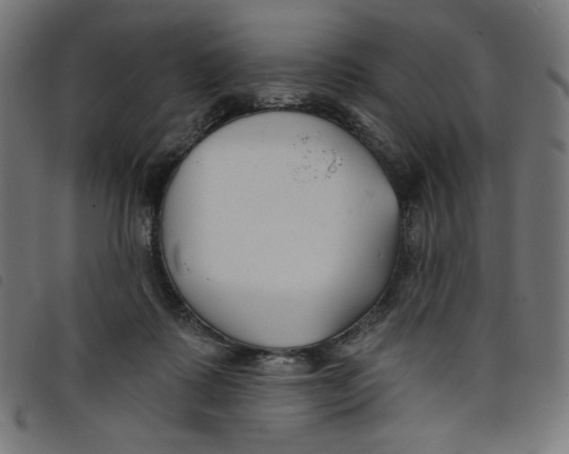 X0000098110315200804251434