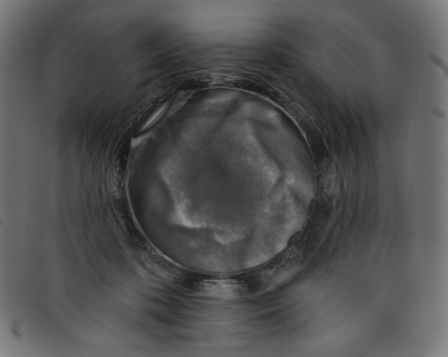 X0000098110316200804251434