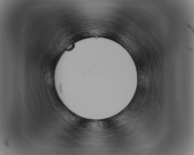 X0000098110317200804251434