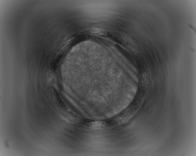 X0000098110320200804251434