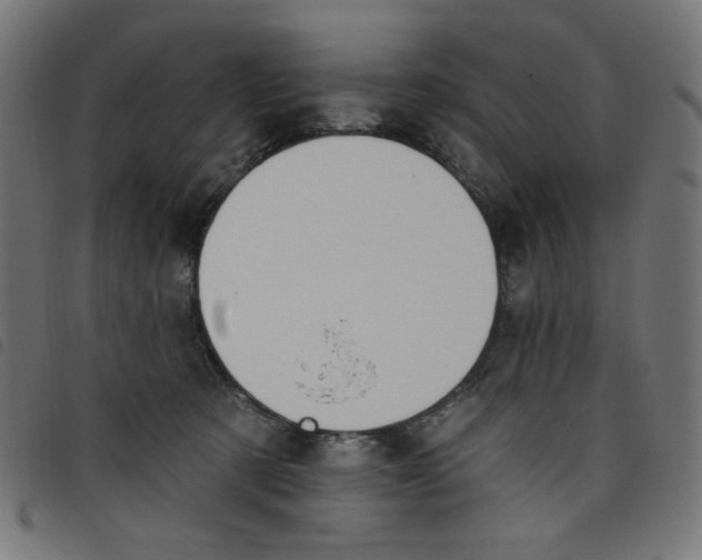 X0000098110321200804251434