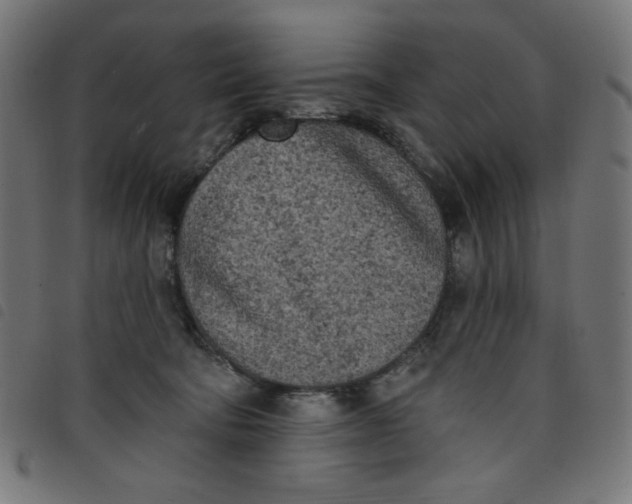 X0000098110322200804251434