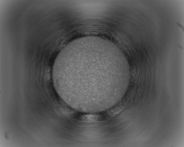 X0000098110323200804251434