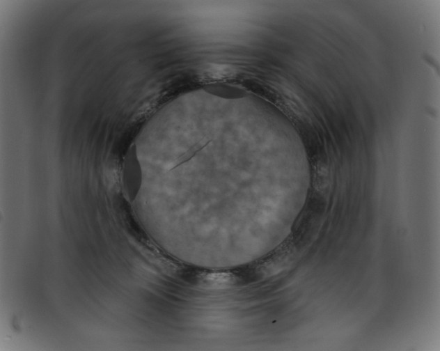 X0000098110324200804251434