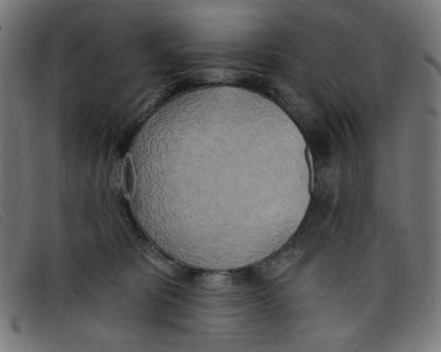 X0000098110325200804251434