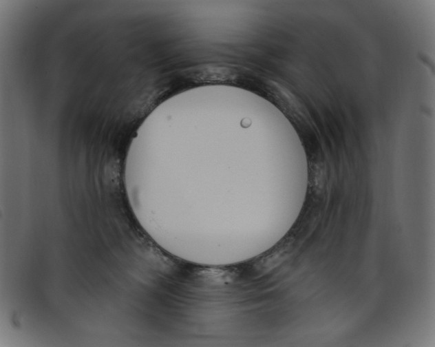 X0000098110326200804251434