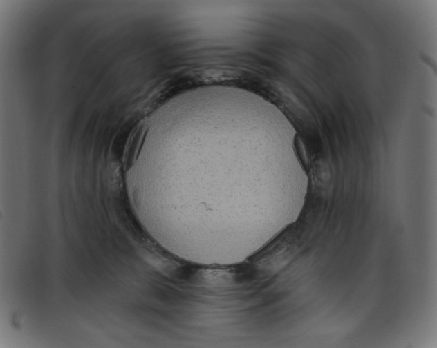 X0000098110327200804251434