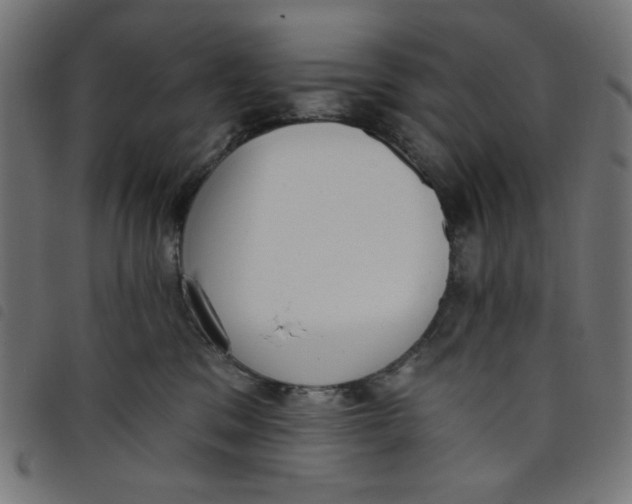 X0000098110329200804251434