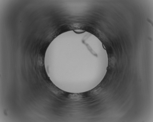 X0000098110331200804251434