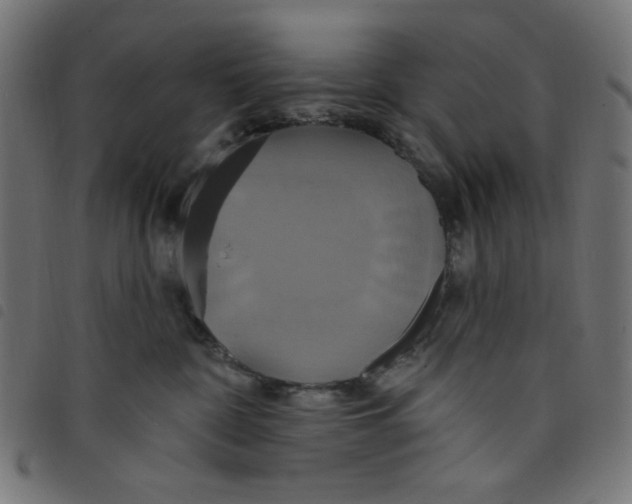 X0000098110332200804251434