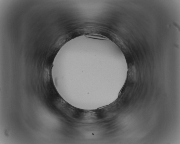 X0000098110333200804251434