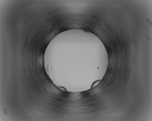 X0000098110334200804251434