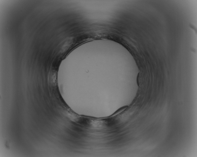 X0000098110336200804251434