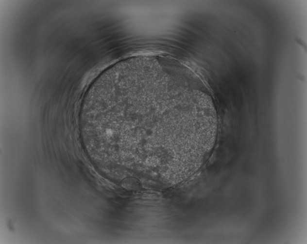 X0000098110337200804251433