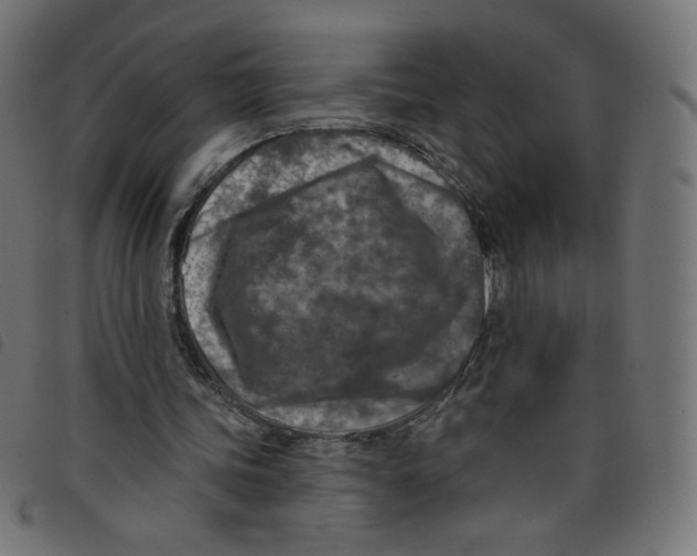 X0000098110339200804251433